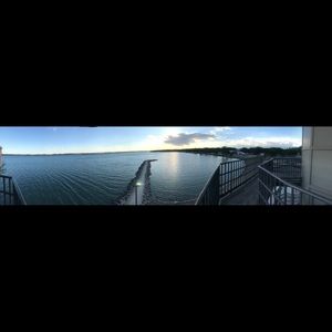 Meet your Posher, Carly